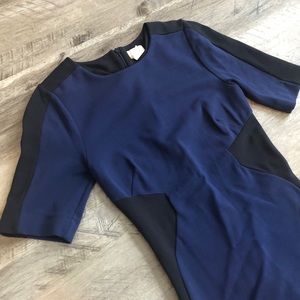 Limited Edition Paneled Bodycon Dress